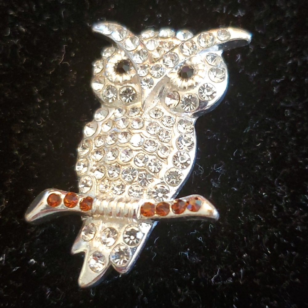 Silvertone rhinestones owl pin clear black brown